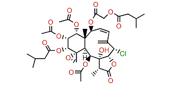 Gemmacolide L